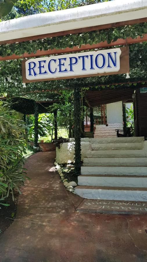 Hotel Bugabutik Puerto Viejo de Talamanca Buitenkant foto